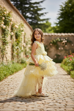 Load image into Gallery viewer, Yellow beauty Princess Gown/ Frock
