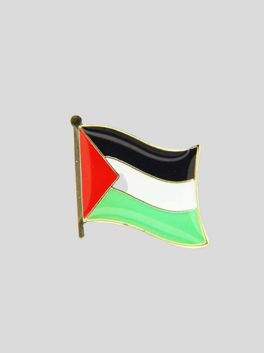 Palestine Pin