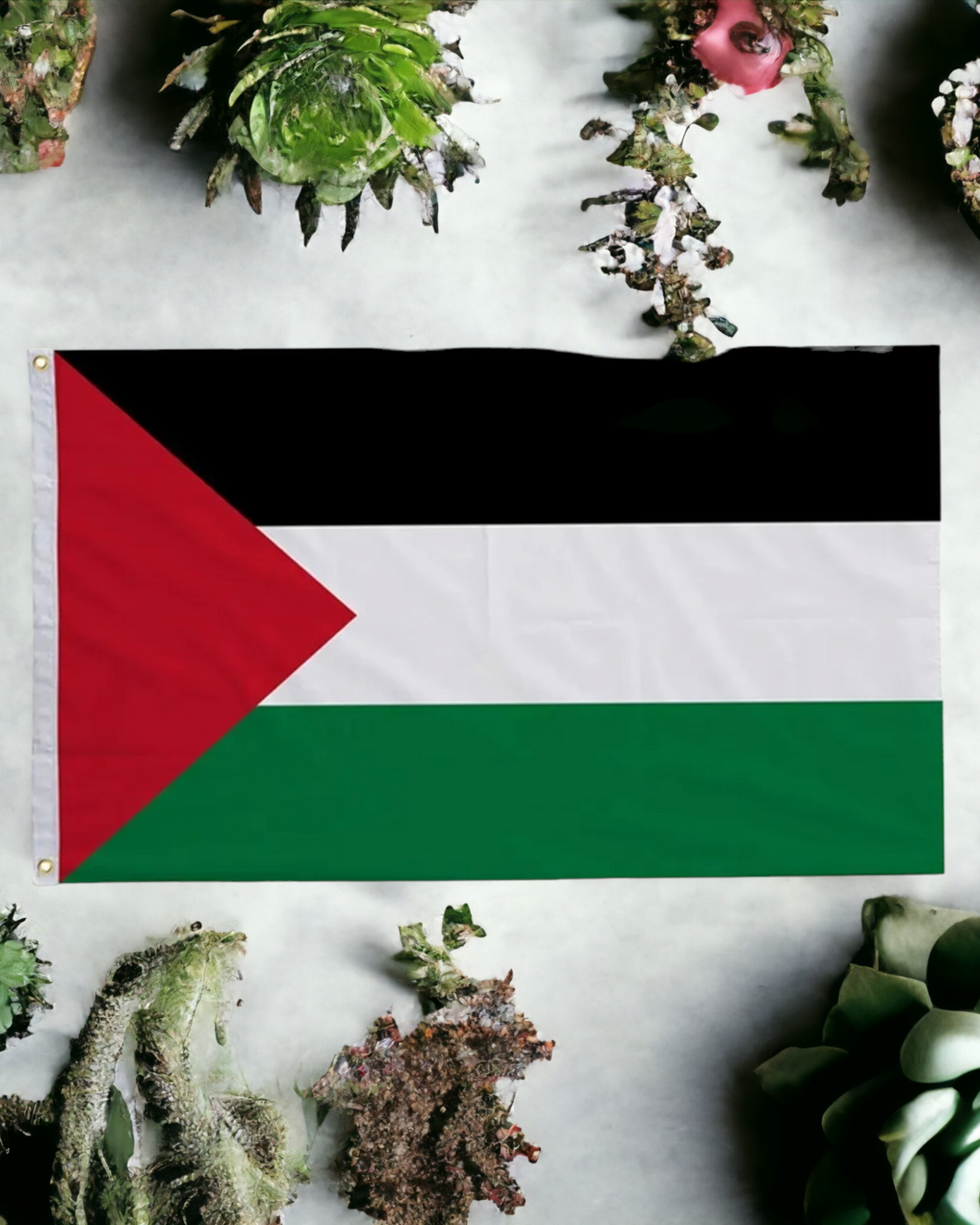 Palestine Flag